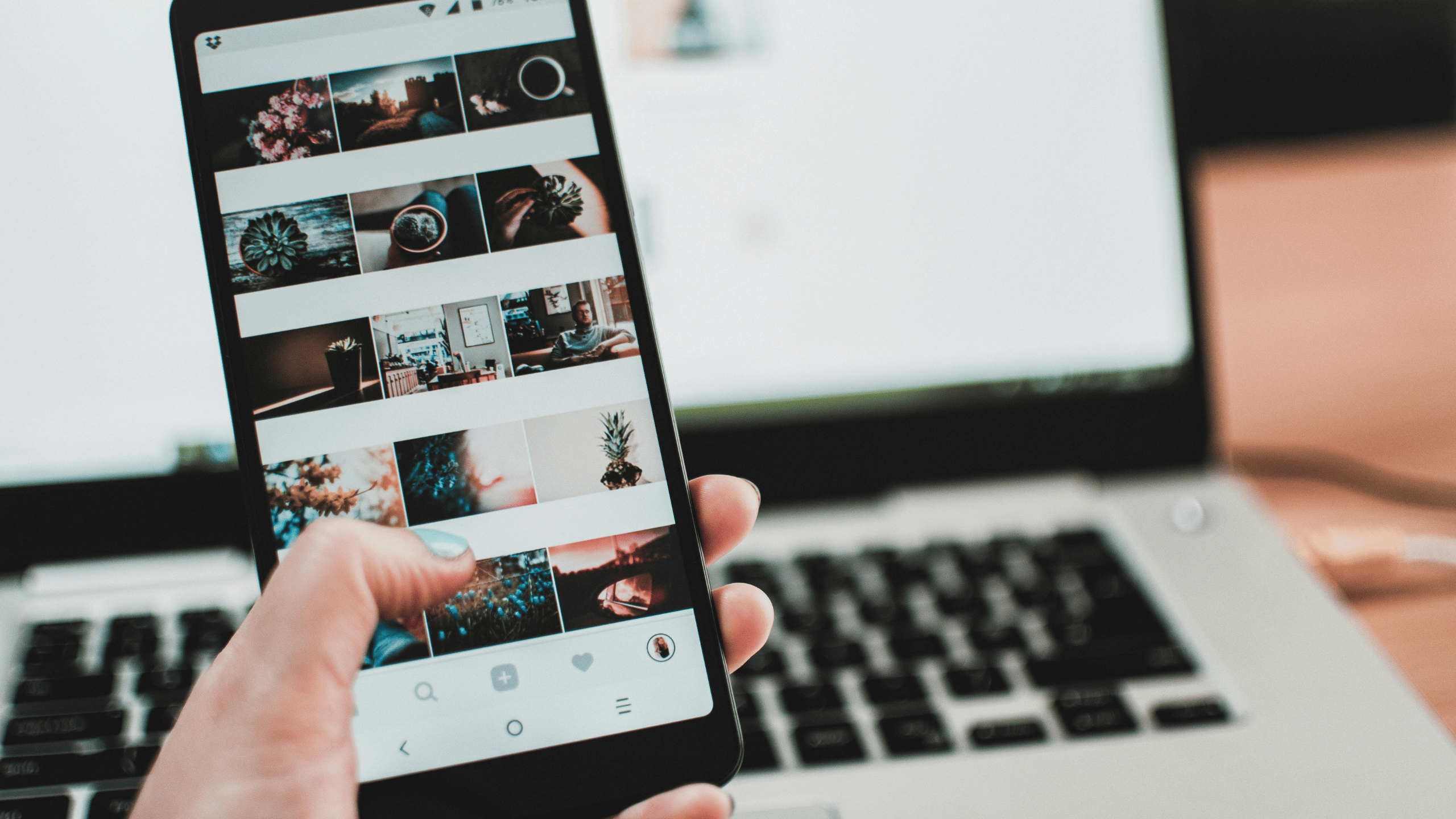Social Media Content & Management for Growing Brands