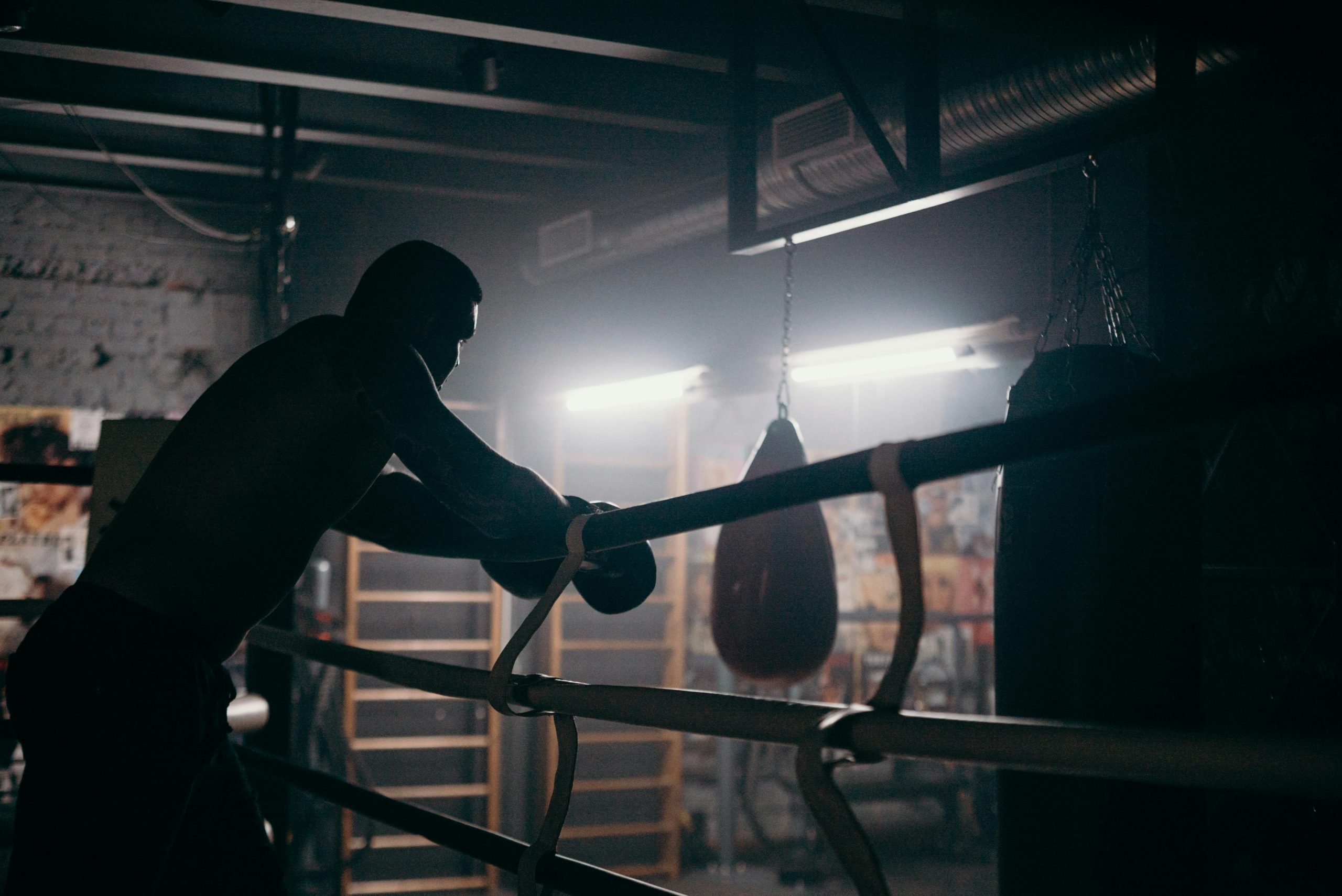 Boxing Bear Media Careers